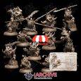 The Great Fantastic World DnD Miniatures STL Pack (Kingdom of Coralan)