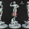 Legion Miniatures – Pack 11D STL for 3D Printing