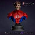 Spiderman Serie Animada STL Downloadable